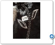 collection 4 pelo 105